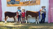 Kirsty - holding clover on left Isla - holding Minty Skye in middle. Northern Youth Hereford heifer show in inverell