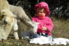 Isla-&-Sheep-058