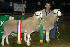 Dubbo 2011 (1)