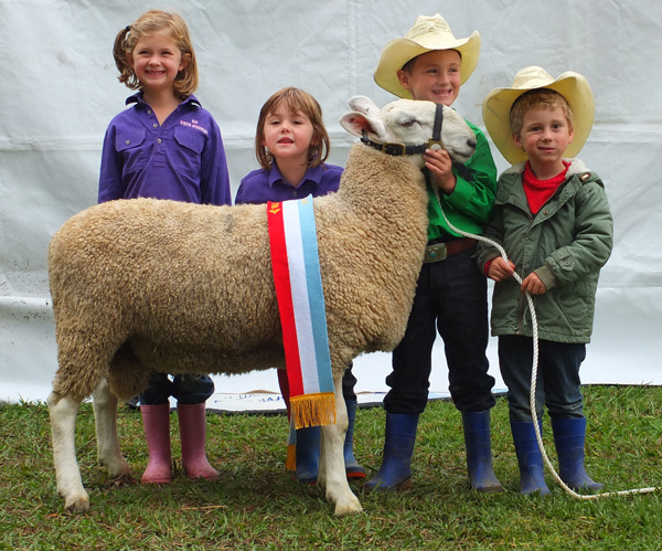 Champion Border Leicester Walcha Show 2017